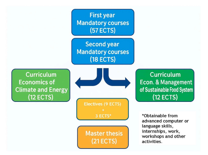 study plan presentation